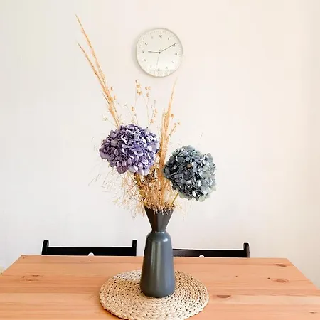 Centrico Y Acogedor *