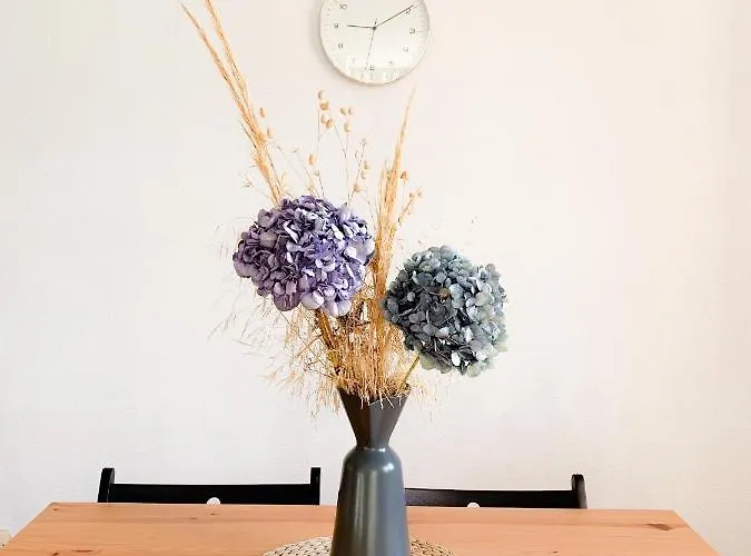 Centrico Y Acogedor *